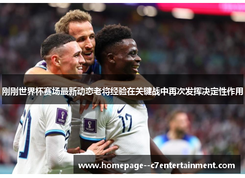 刚刚世界杯赛场最新动态老将经验在关键战中再次发挥决定性作用