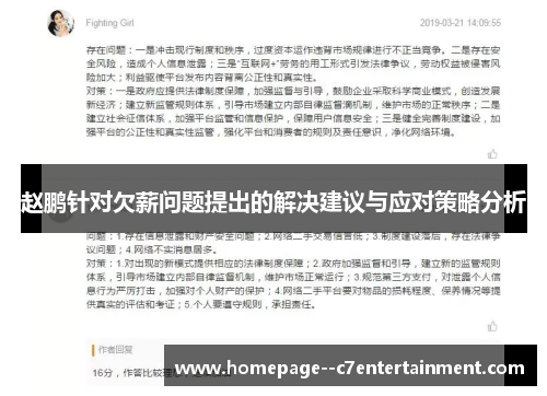 赵鹏针对欠薪问题提出的解决建议与应对策略分析