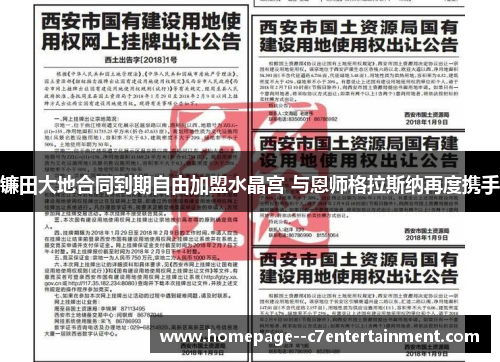 镰田大地合同到期自由加盟水晶宫 与恩师格拉斯纳再度携手