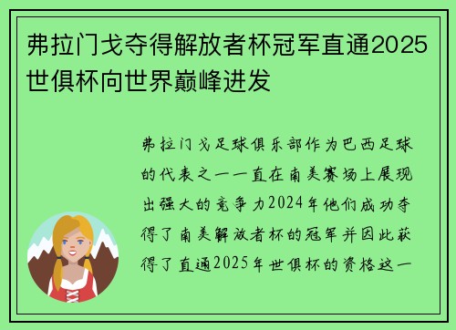 弗拉门戈夺得解放者杯冠军直通2025世俱杯向世界巅峰进发